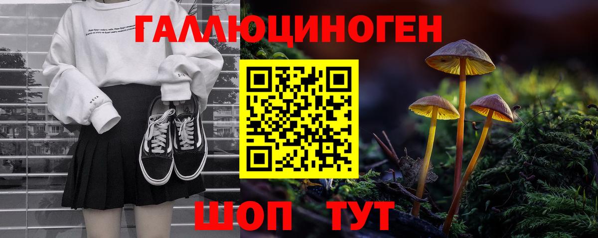 Камышлов  Галлюциногенные грибы Psilocybine cubensis  Вход с VPN  Псилоцибиновые грибы Magic Shrooms 
